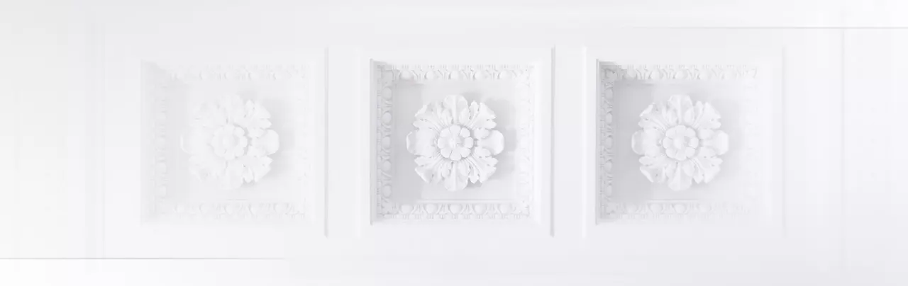 white white