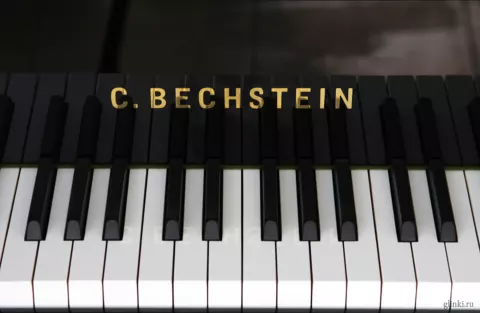 Bechstein-вечера